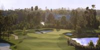 Celebration Golf Club Review